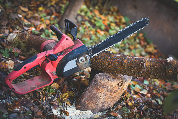 Best Lawn Maintenance Plans  in Bolinas, CA